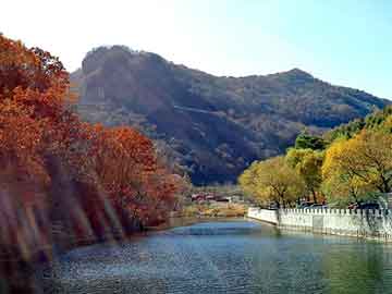 新澳天天开奖资料大全旅游团，供应白芝麻